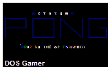 Rotating Pong DOS Game