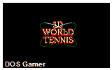 3D World Tennis DOS Game