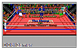 4-D Boxing - The DEMO Disk DOS Game