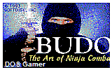 Budo- The Art of Ninja Combat DOS Game