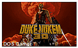 Duke Nukem 3D DOS Game