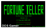 Fortune Teller - The Electronic Crystal Ball DOS Game
