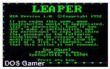 Leaper DOS Game