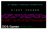 Night Bomber DOS Game