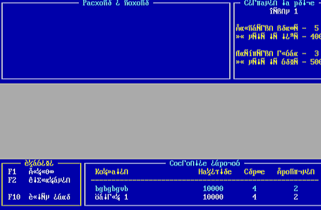 Direktor-2000 DOS Game