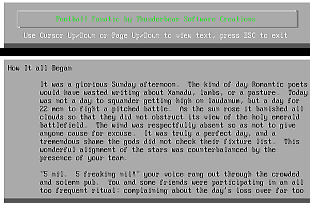 Football Fanatic DOS Game