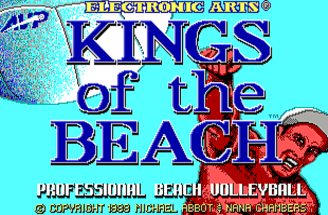 Kings of the Beach DOS Game