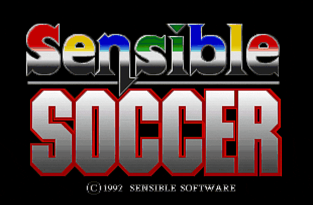 Sensible Soccer European Champions DOS Game