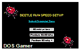 Beetle Run DOS Game
