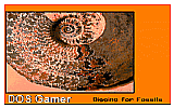 Digging for Fossils DOS Game