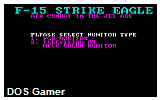 F-15 Strike Eagle DOS Game