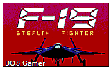 F19 Stealth Fighter DOS Game