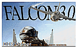 Falcon 3.0 DOS Game