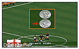 FIFA International Soccer (demo) DOS Game