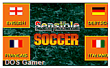 International Sensible Soccer DOS Game