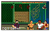 InterSports One - Wrestling vs Boxing DOS Game