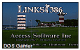 Links 386 Pro DOS Game