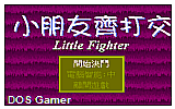 Little Fighter DOS Game