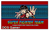 Sango Fighter DOS Game