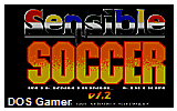 Sensible Soccer International Edition DOS Game