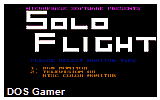 Solo Flight DOS Game