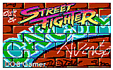 Street Fighter DOS Game