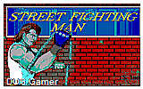 Street Fighting Man DOS Game