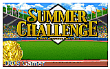 Summer Challenge DOS Game