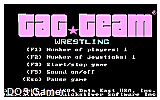 Tag Team Wresting DOS Game