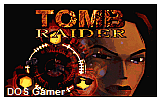 Tomb Raider DOS Game