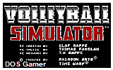 Volleyball Simulator DOS Game