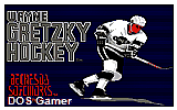 Wayne Gretzky Hockey DOS Game