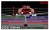 Wide World of Sports Boxing DOS Game