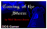 Wolfenstein 3D - Coming of the Storm DOS Game